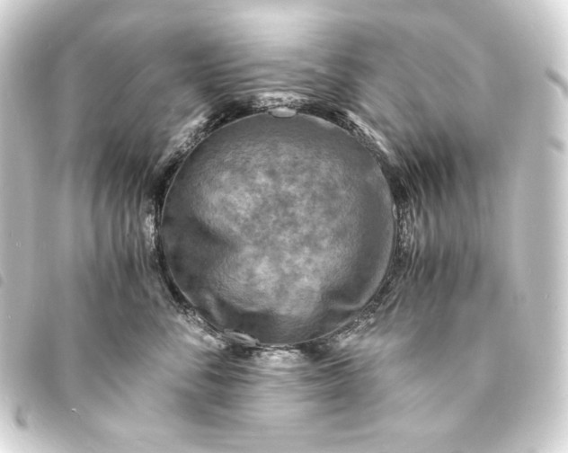 X0000093730716200710301044