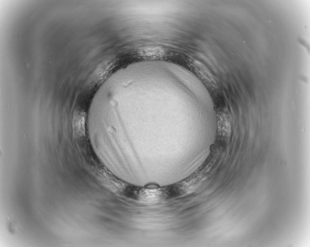 X0000093730717200710301044