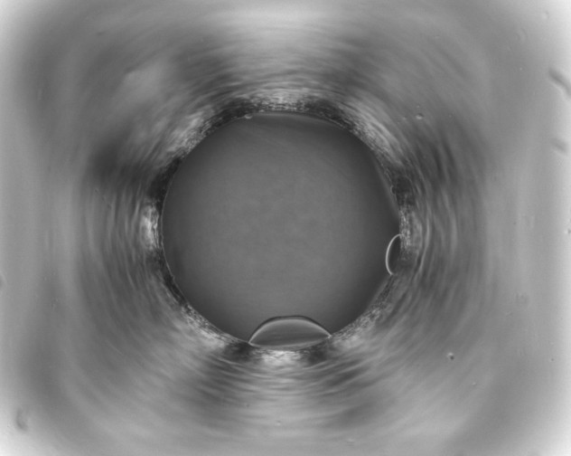 X0000093730718200710301044