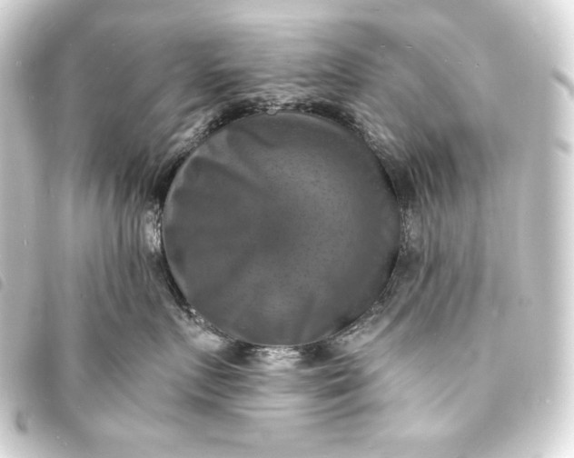 X0000093730719200710301044