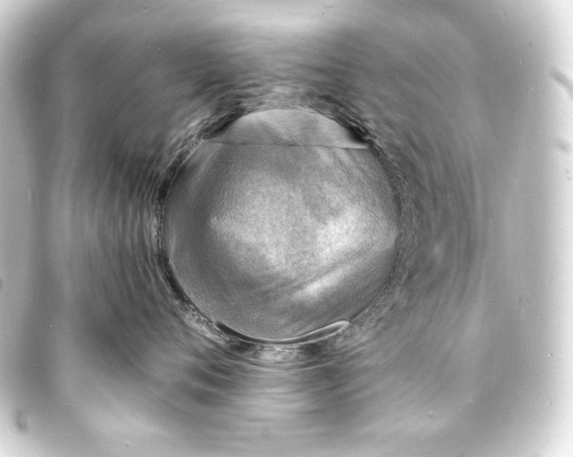 X0000093730720200710301044