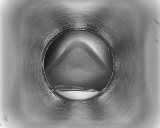 X0000093730721200710301043