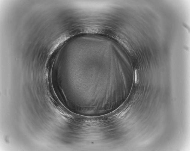 X0000093730723200710301043