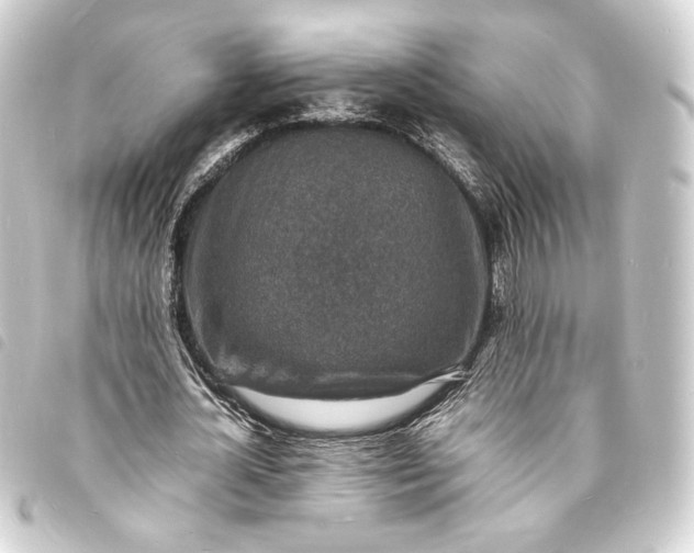 X0000093730724200710301043