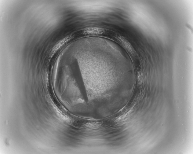 X0000093730725200710301043