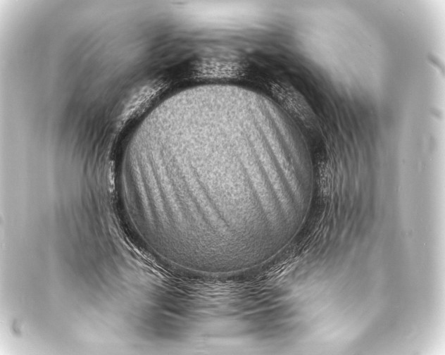 X0000093730731200710301043