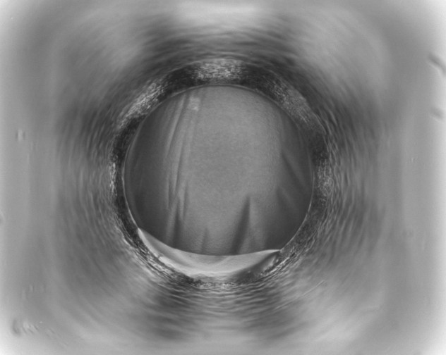 X0000093730735200710301043