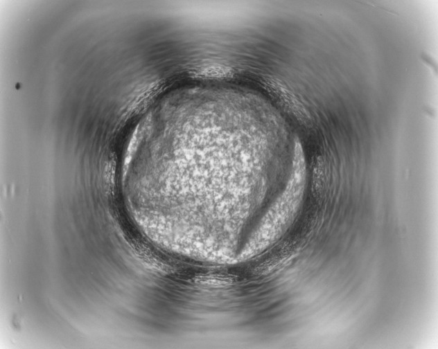 X0000093730739200710301044