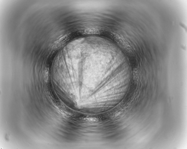 X0000093730741200710301044