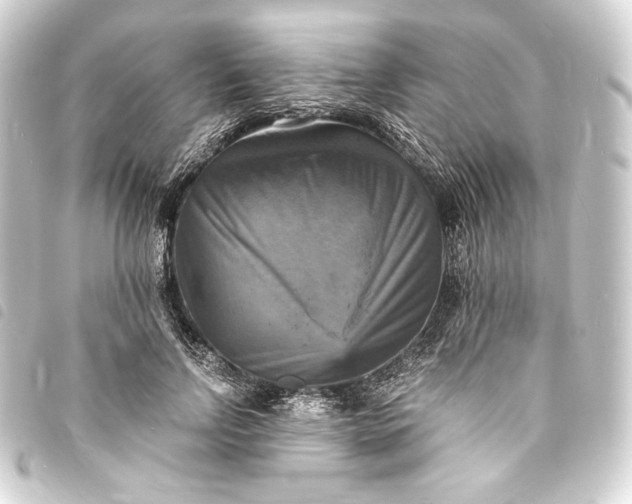 X0000093730742200710301044