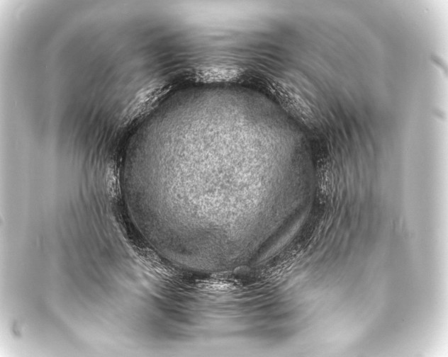 X0000093730743200710301044