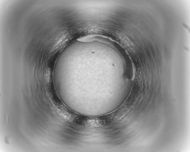 X0000093730744200710301044