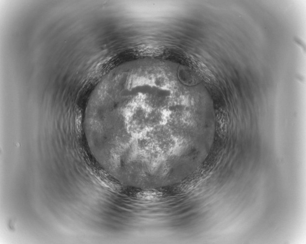 X0000093730745200710301044