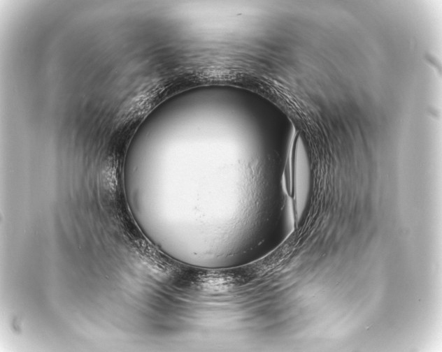 X0000093730746200710301044