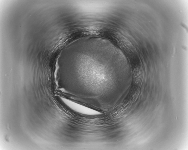 X0000093730747200710301044