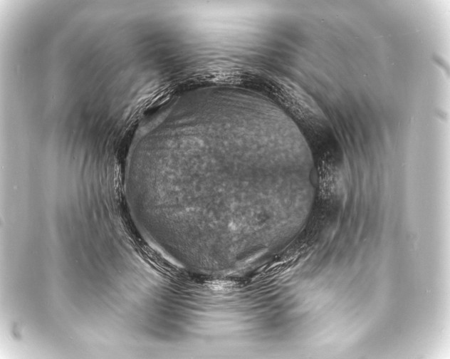 X0000093730748200710301044