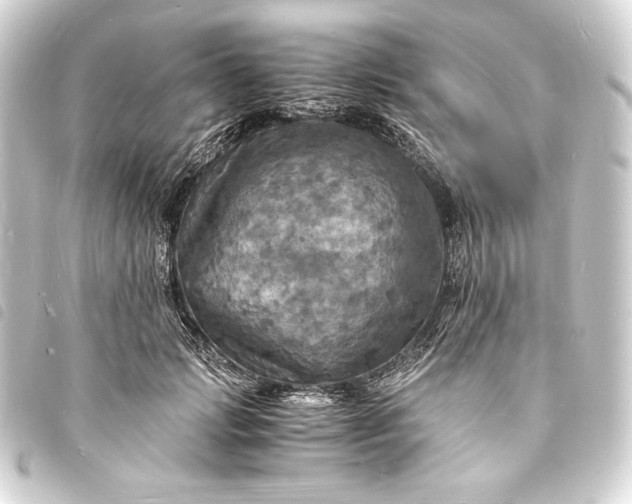 X0000093730749200710301044