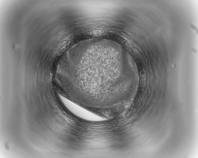 X0000093730750200710301044