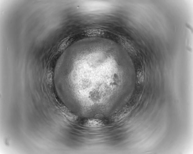 X0000093730753200710301044