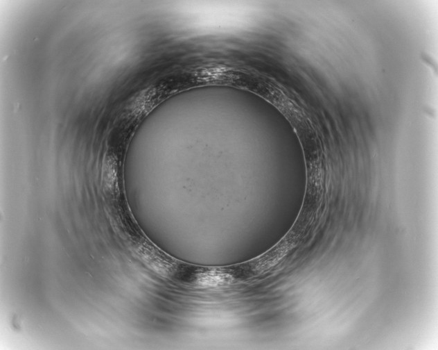 X0000093730754200710301044