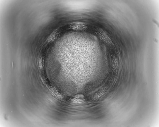 X0000093730755200710301044