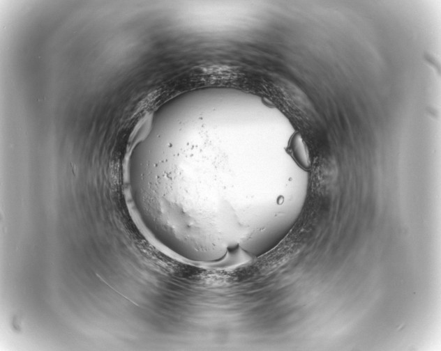 X0000093730756200710301044