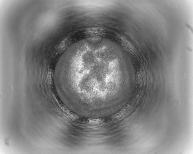 X0000093730757200710301044