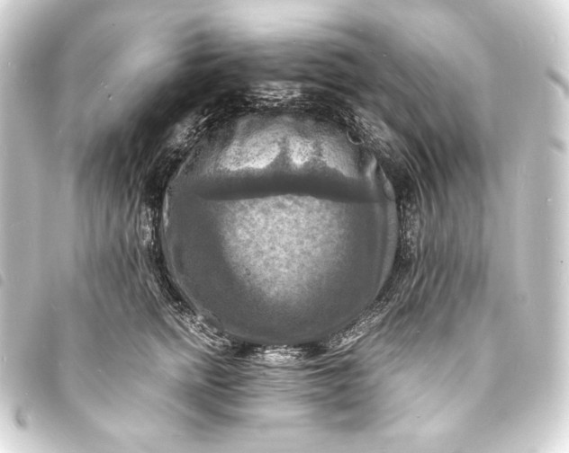 X0000093730758200710301044