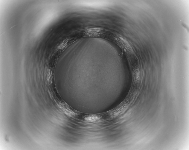 X0000093730759200710301044