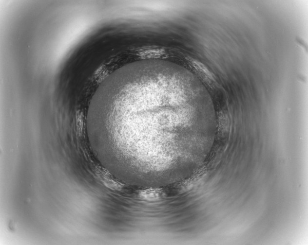 X0000093730761200710301044