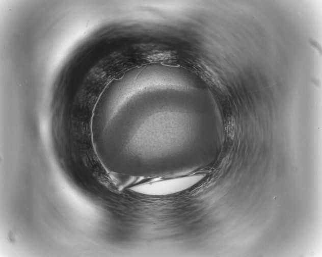 X0000093730763200710301044