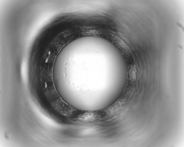 X0000093730764200710301044