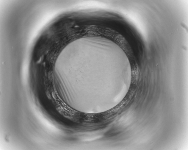 X0000093730765200710301044