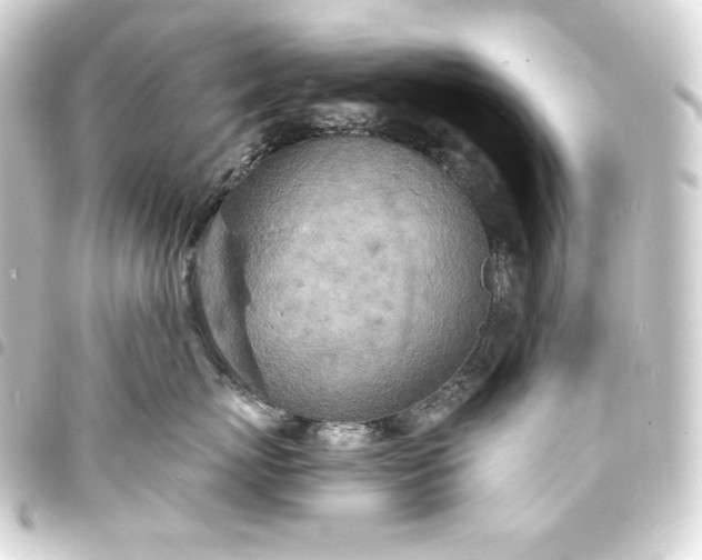 X0000093730767200710301044