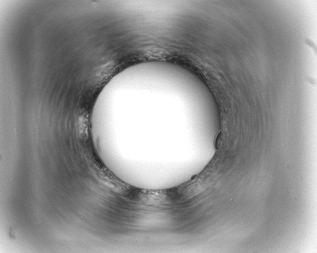 X0000093730768200710301044