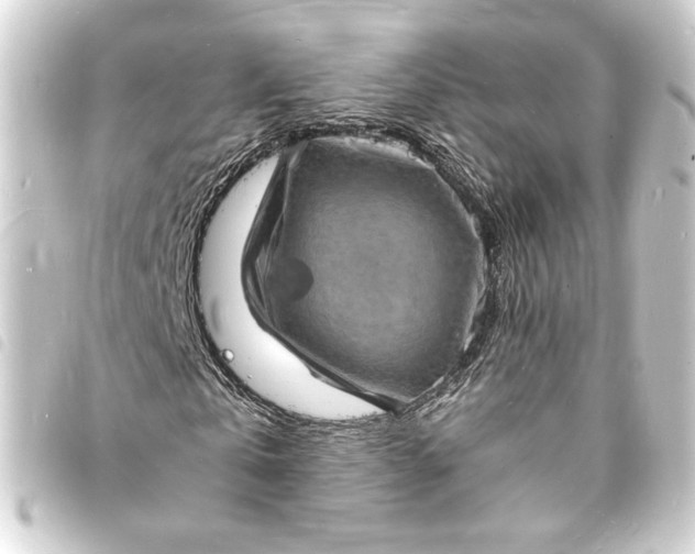 X0000093730769200710301043