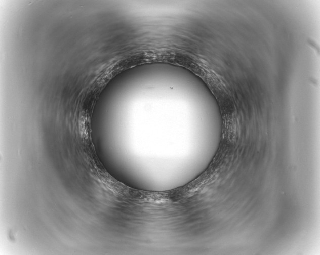 X0000093730770200710301043