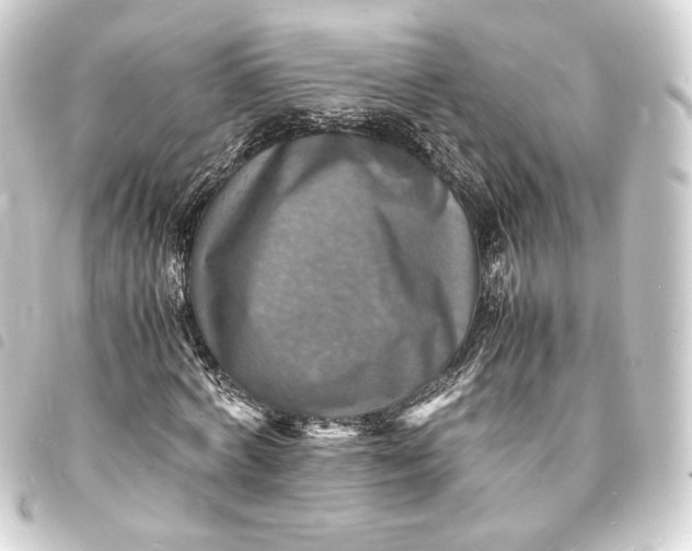 X0000093730772200710301043