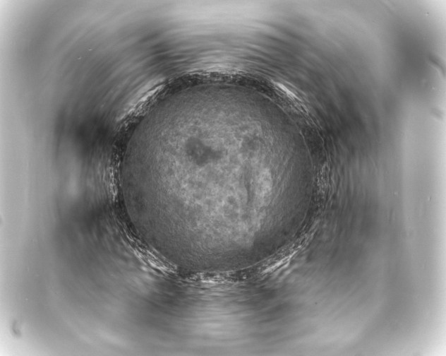 X0000093730774200710301043