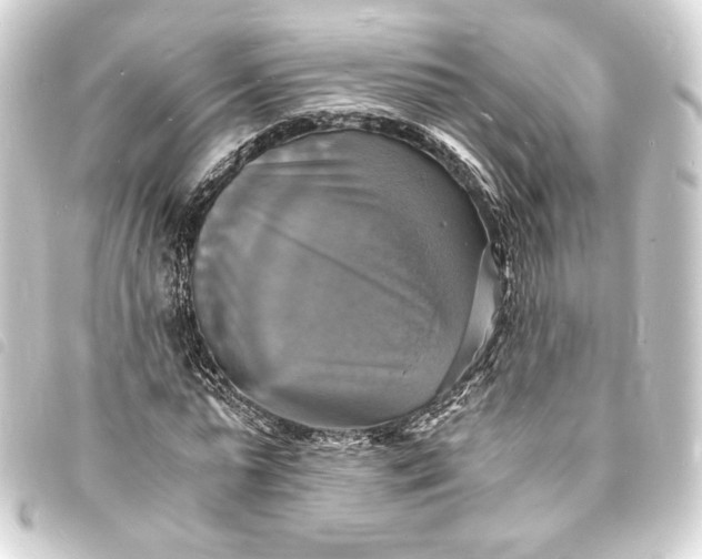 X0000093730775200710301043