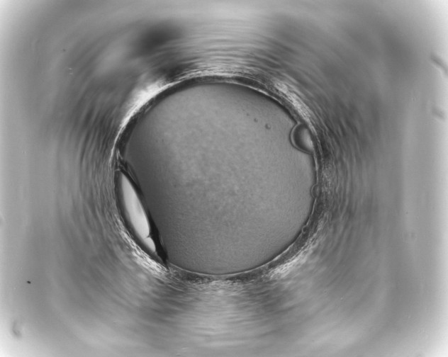 X0000093730779200710301043