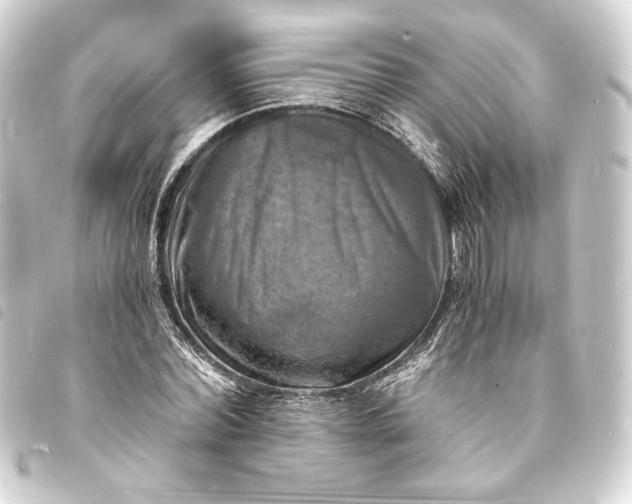X0000093730780200710301043