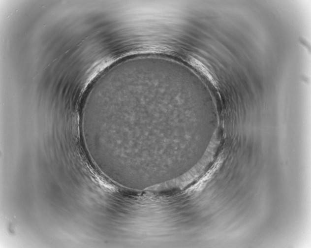 X0000093730781200710301043