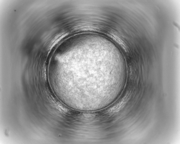 X0000093730782200710301043