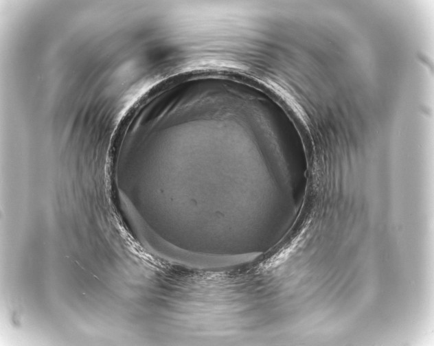 X0000093730783200710301043