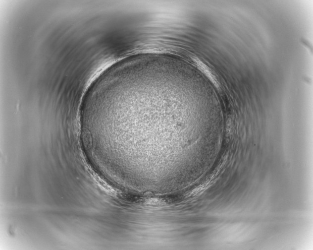 X0000093730787200710301043