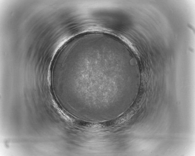 X0000093730791200710301043