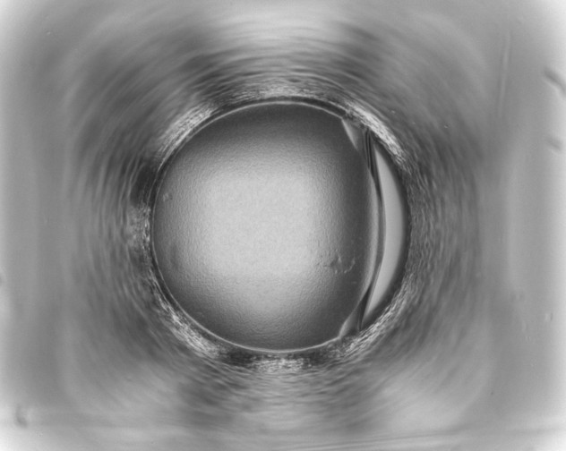 X0000093730793200710301043