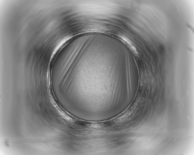 X0000093730796200710301043