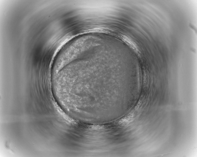X0000093730800200710301043